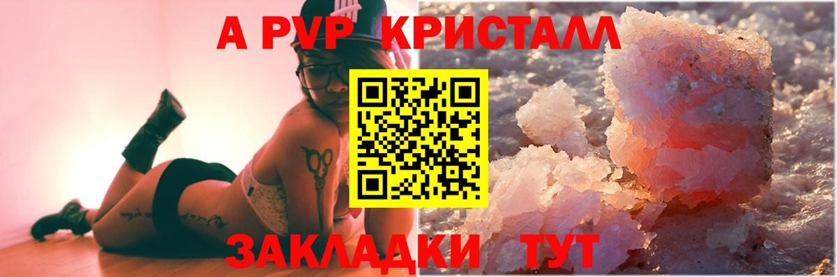 A-PVP СК Гатчина