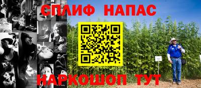 ешки Надым