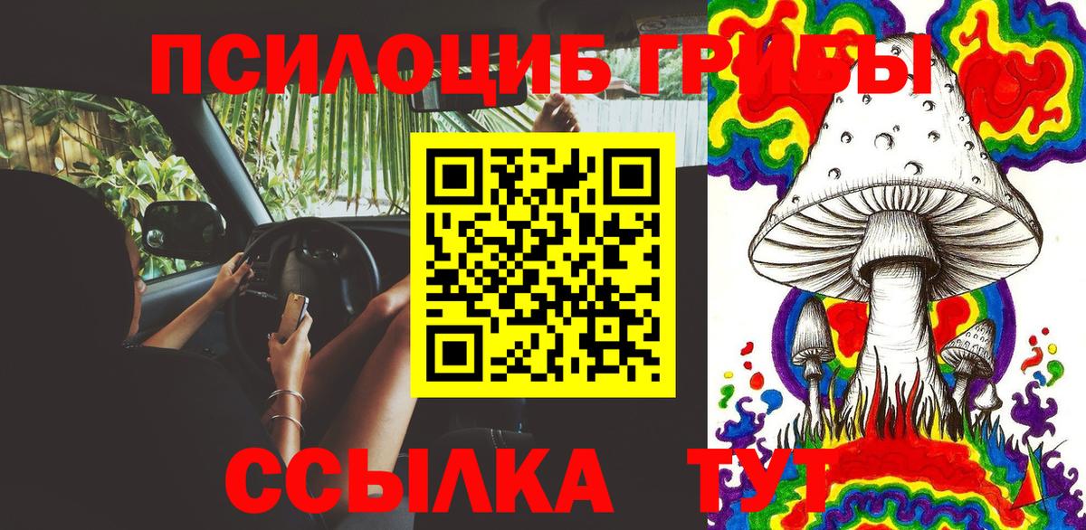 Псилоцибиновые грибы MAGIC MUSHROOMS Гатчина