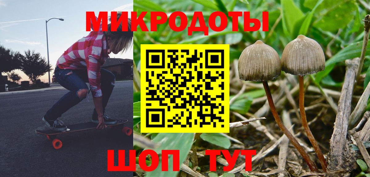 Гатчина  Псилоцибиновые грибы GOLDEN TEACHER  Вход с VPN 