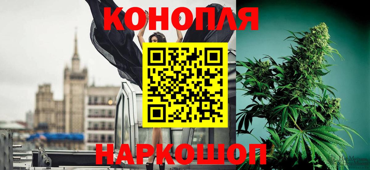 Гатчина  Шишки марихуана White Widow  Марихуана сатива  Шишки марихуана White Widow  Вход с VPN  Шишки марихуана OG Kush 